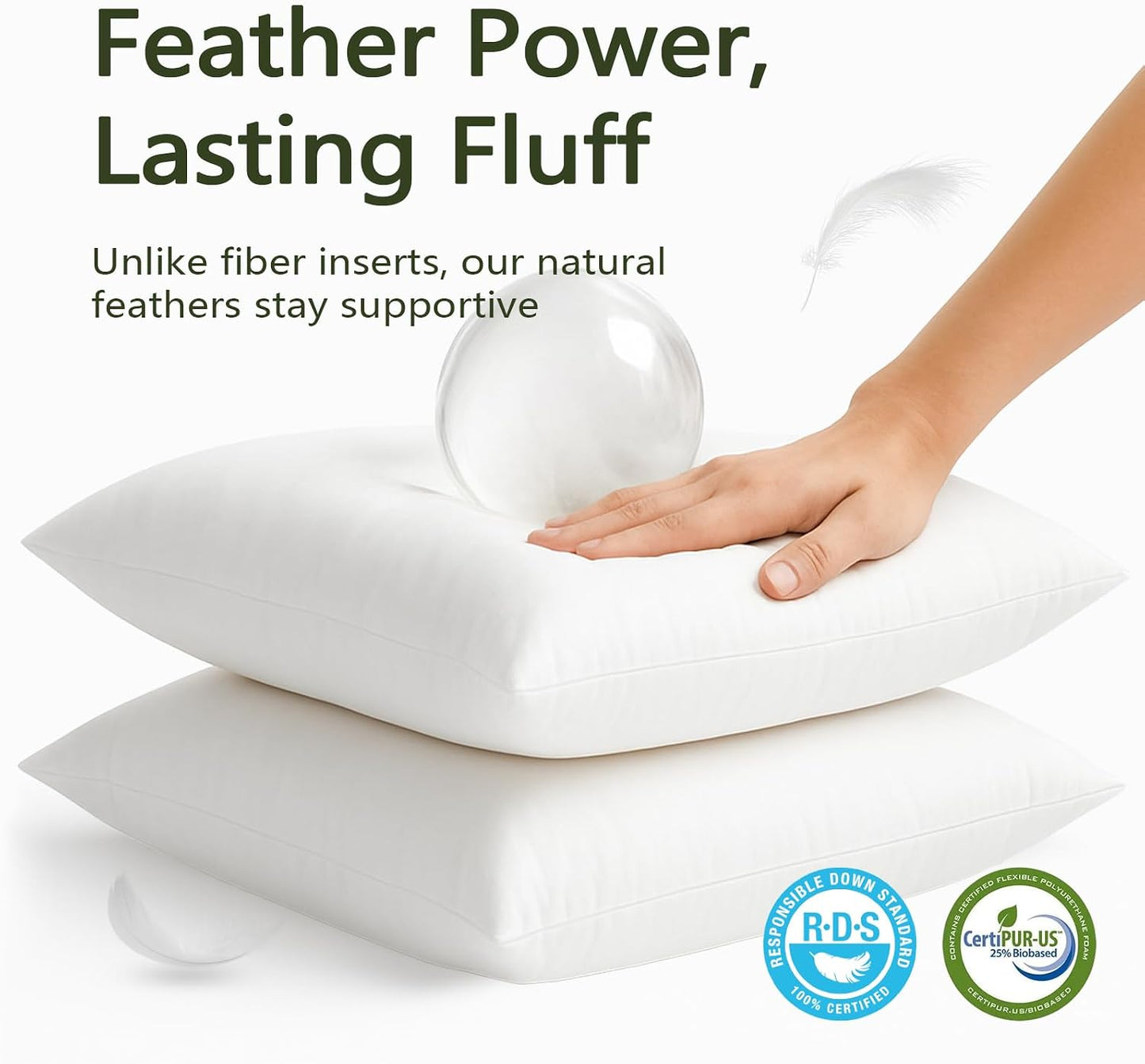 DWR Set of 2 Feather Down Throw Pillow Inserts 28x28 with Organic Cotton Cover, Feather Square White Decorative Pillow Inserts for Bed, Sofa, and Couch
