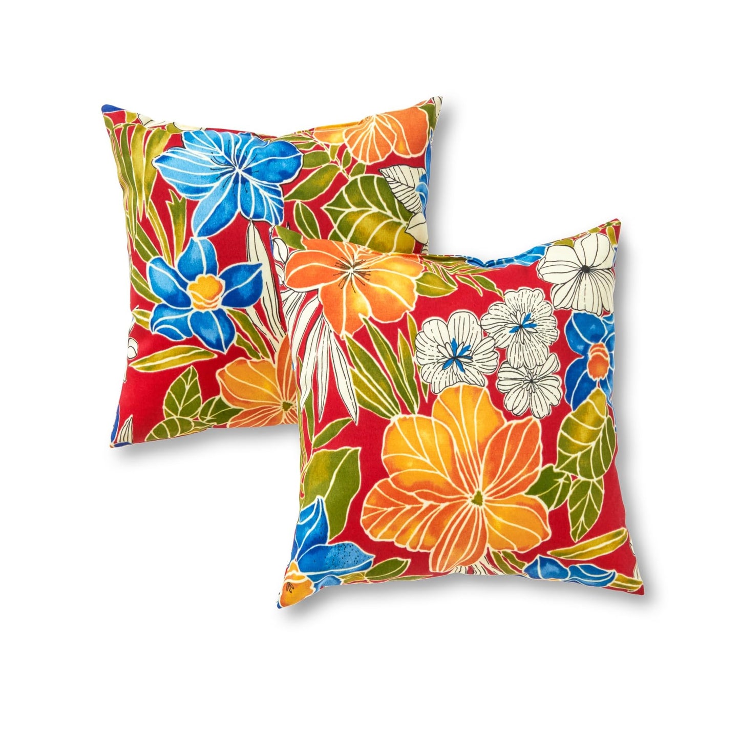 Set of 2 Outdoor Throw Pillows 17 x 17 Inch – Reversible Square Patio Accent Pillows – Weather-Resistant Polyester Fabric – Eco-Friendly Recycled Polyfiber Fill, Arctic Paisley