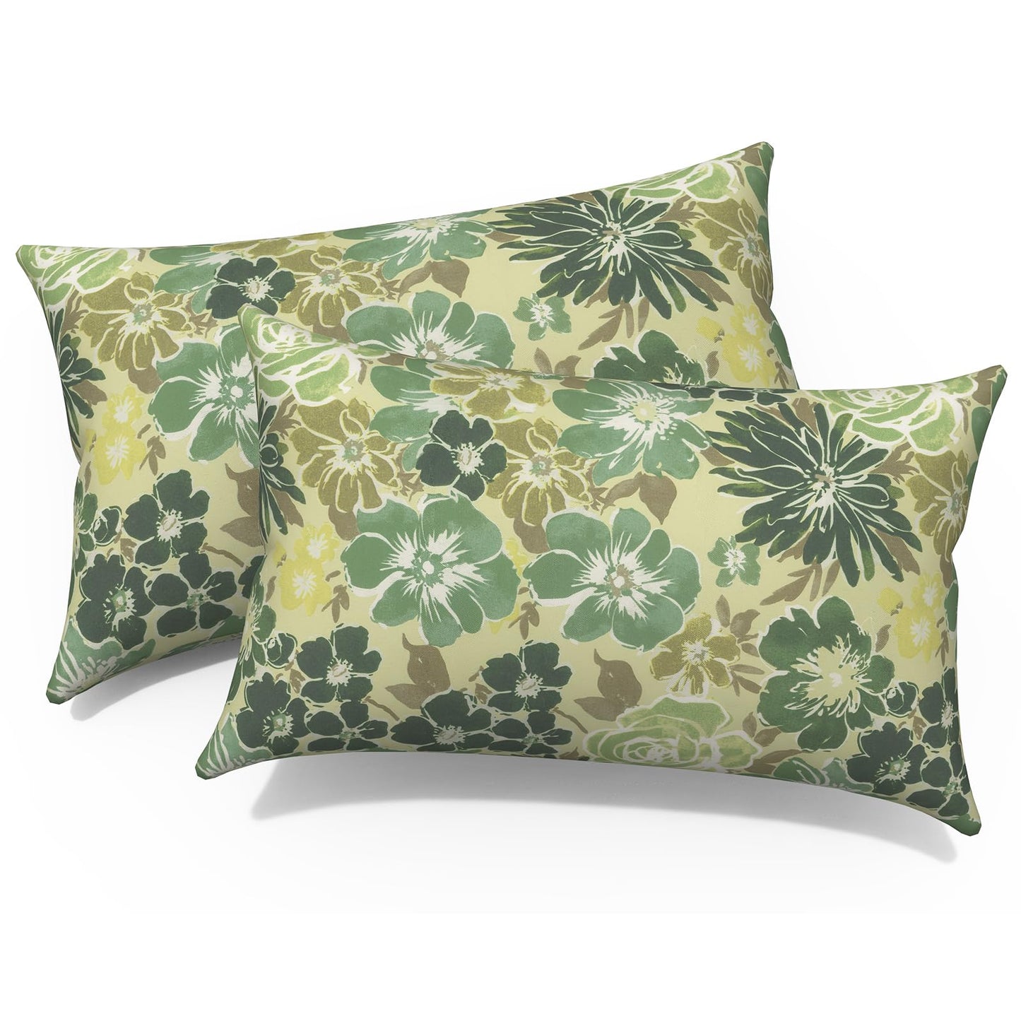 Outdoor 20x20 Inch Throw Pillows with Inners, Square Pillows Decorative Set of 2 for Home Garden Furniture, Paisley Multi