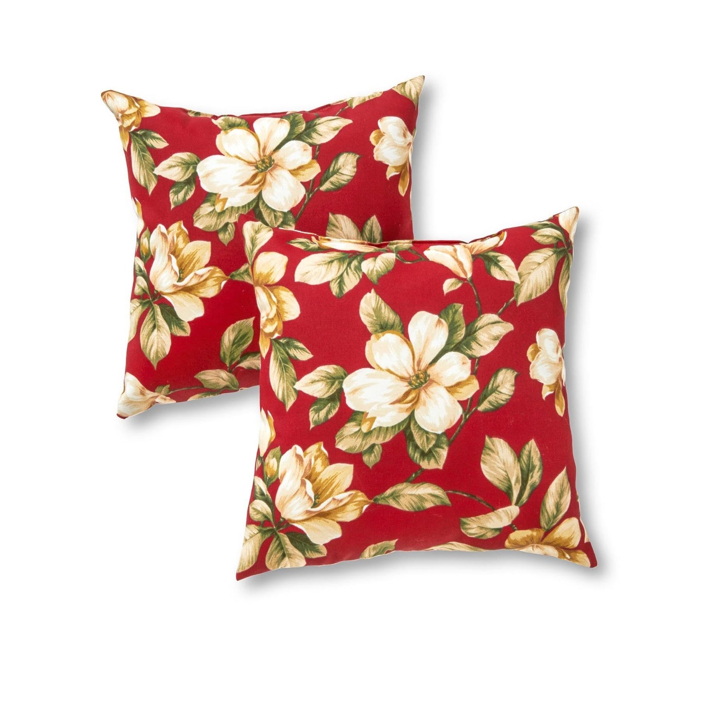 Set of 2 Outdoor Throw Pillows 17 x 17 Inch – Reversible Square Patio Accent Pillows – Weather-Resistant Polyester Fabric – Eco-Friendly Recycled Polyfiber Fill, Arctic Paisley