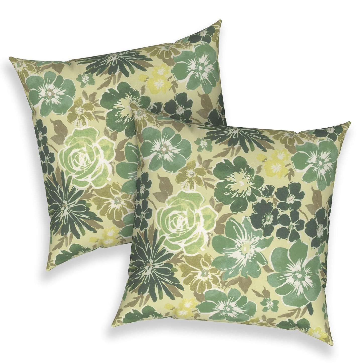 Outdoor 20x20 Inch Throw Pillows with Inners, Square Pillows Decorative Set of 2 for Home Garden Furniture, Paisley Multi