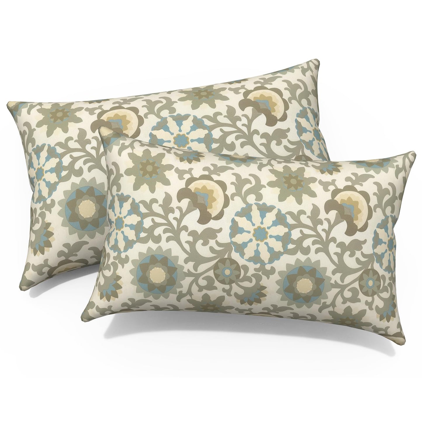 Outdoor 20x20 Inch Throw Pillows with Inners, Square Pillows Decorative Set of 2 for Home Garden Furniture, Paisley Multi