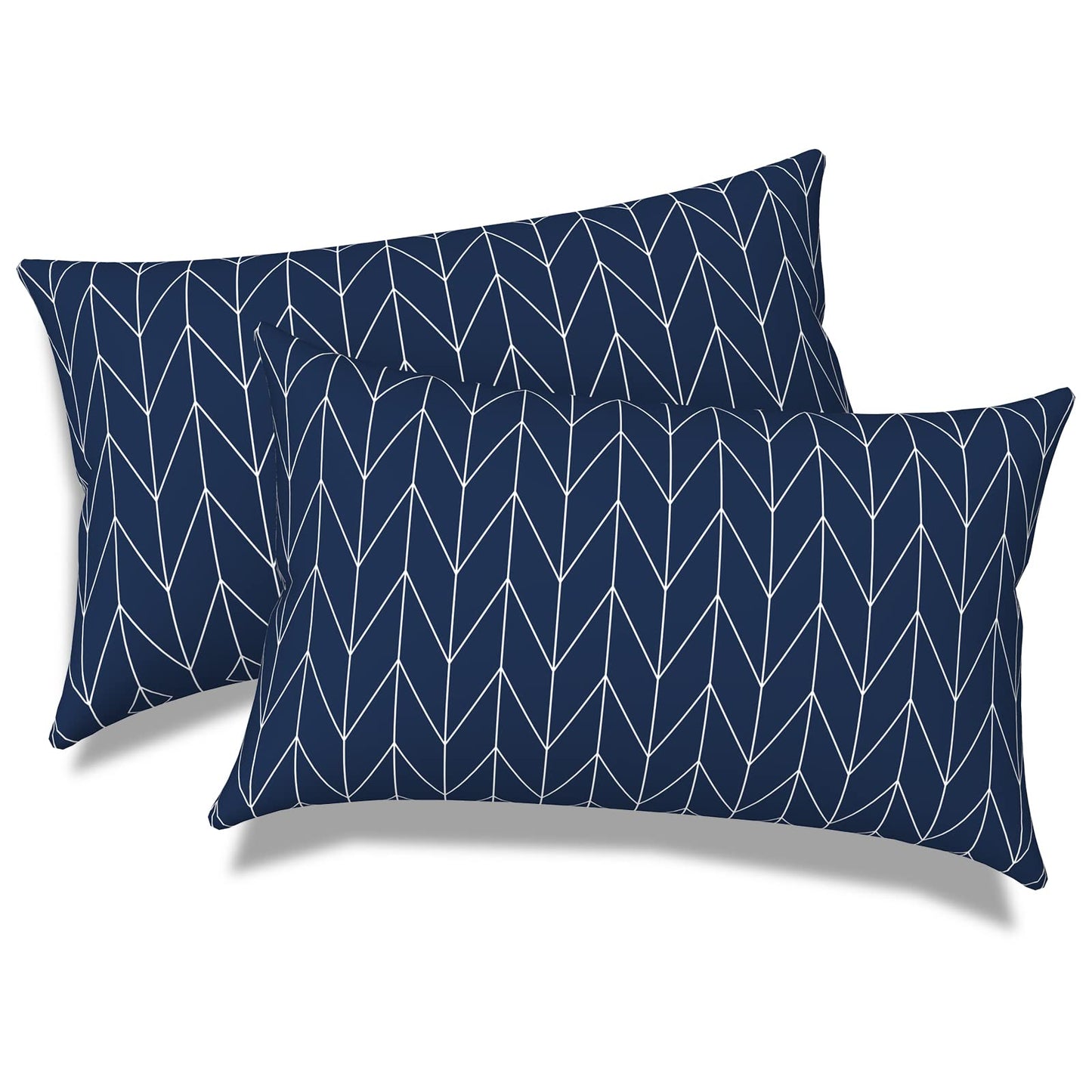 Outdoor 20x20 Inch Throw Pillows with Inners, Square Pillows Decorative Set of 2 for Home Garden Furniture, Paisley Multi
