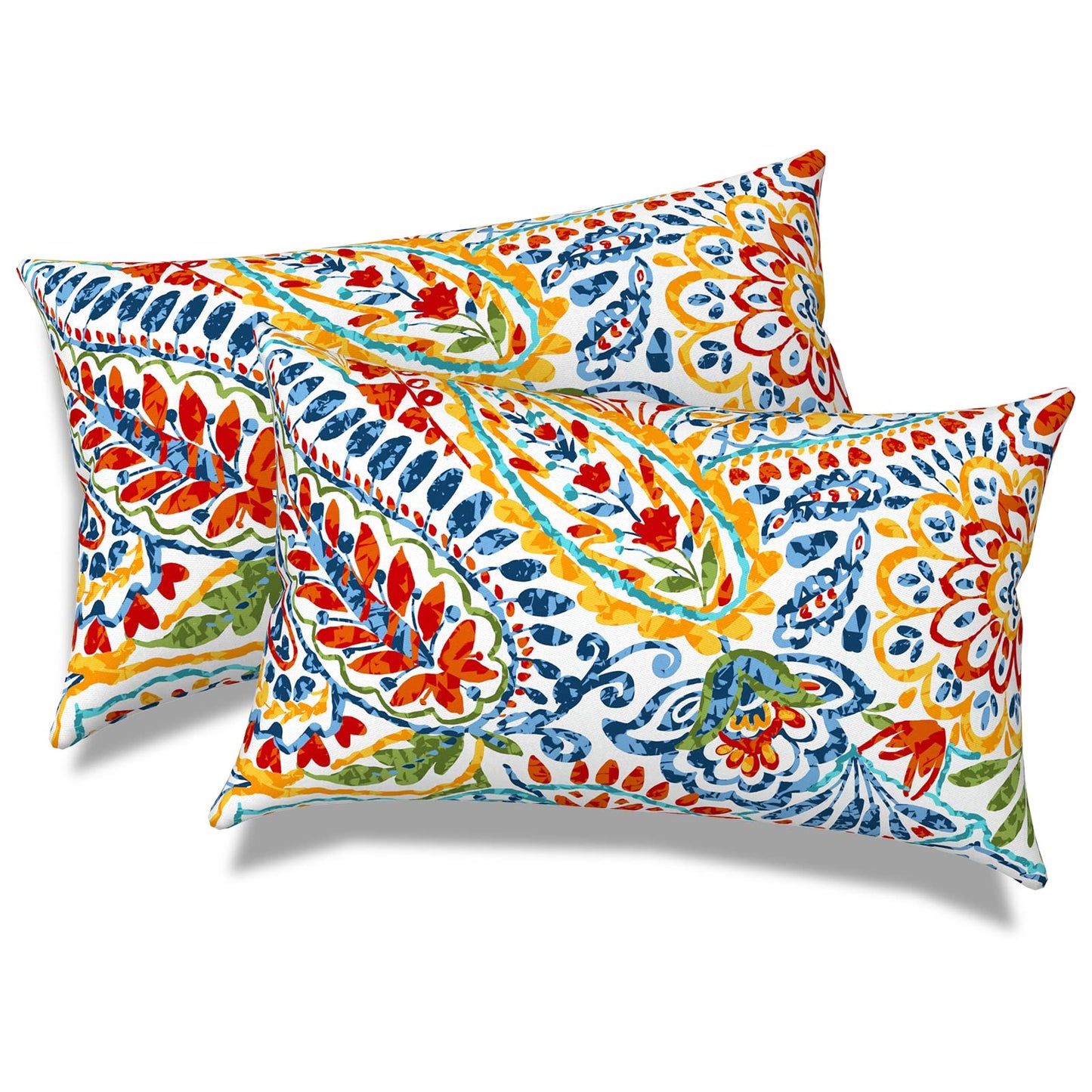 Outdoor 20x20 Inch Throw Pillows with Inners, Square Pillows Decorative Set of 2 for Home Garden Furniture, Paisley Multi