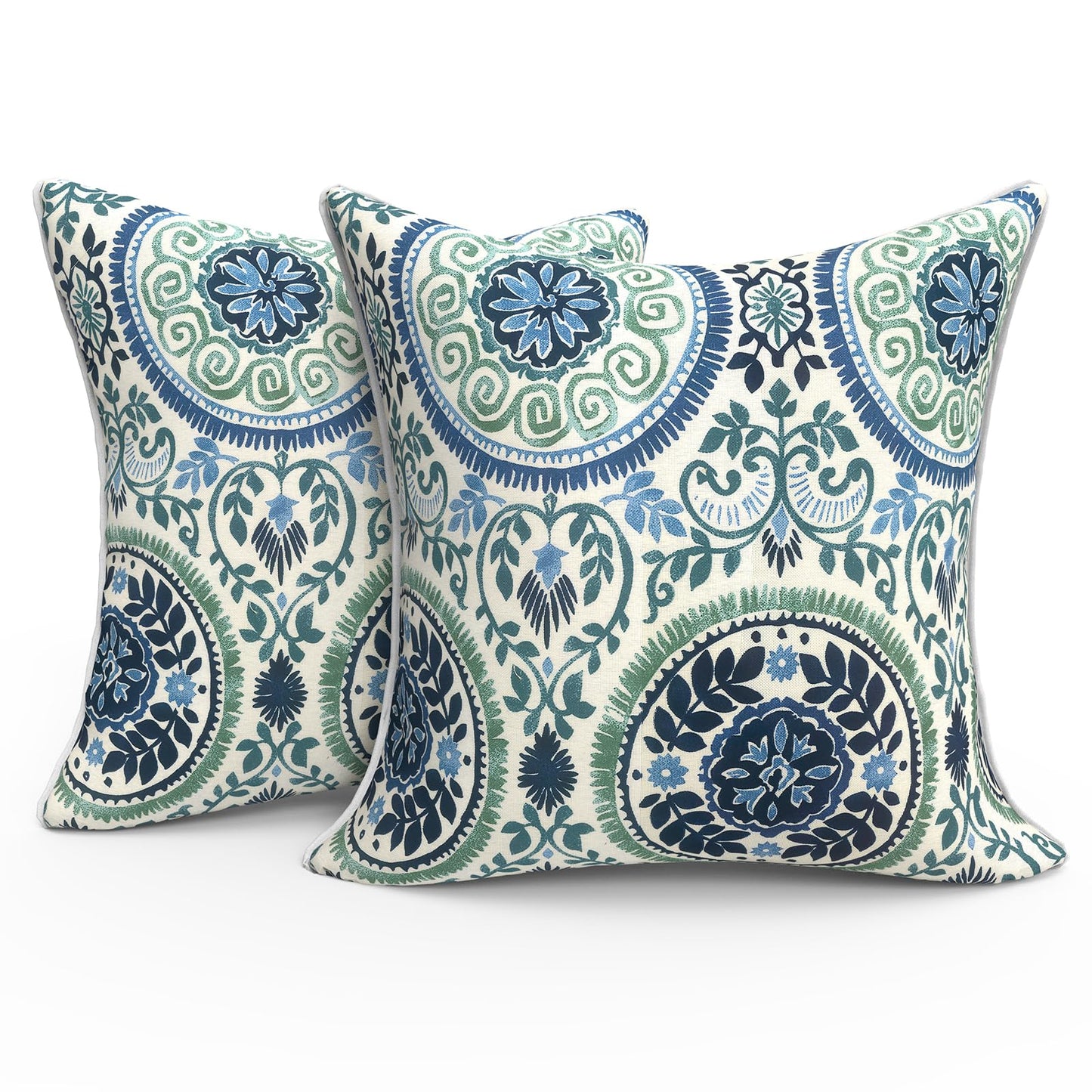 Outdoor 20x20 Inch Throw Pillows with Inners, Square Pillows Decorative Set of 2 for Home Garden Furniture, Paisley Multi
