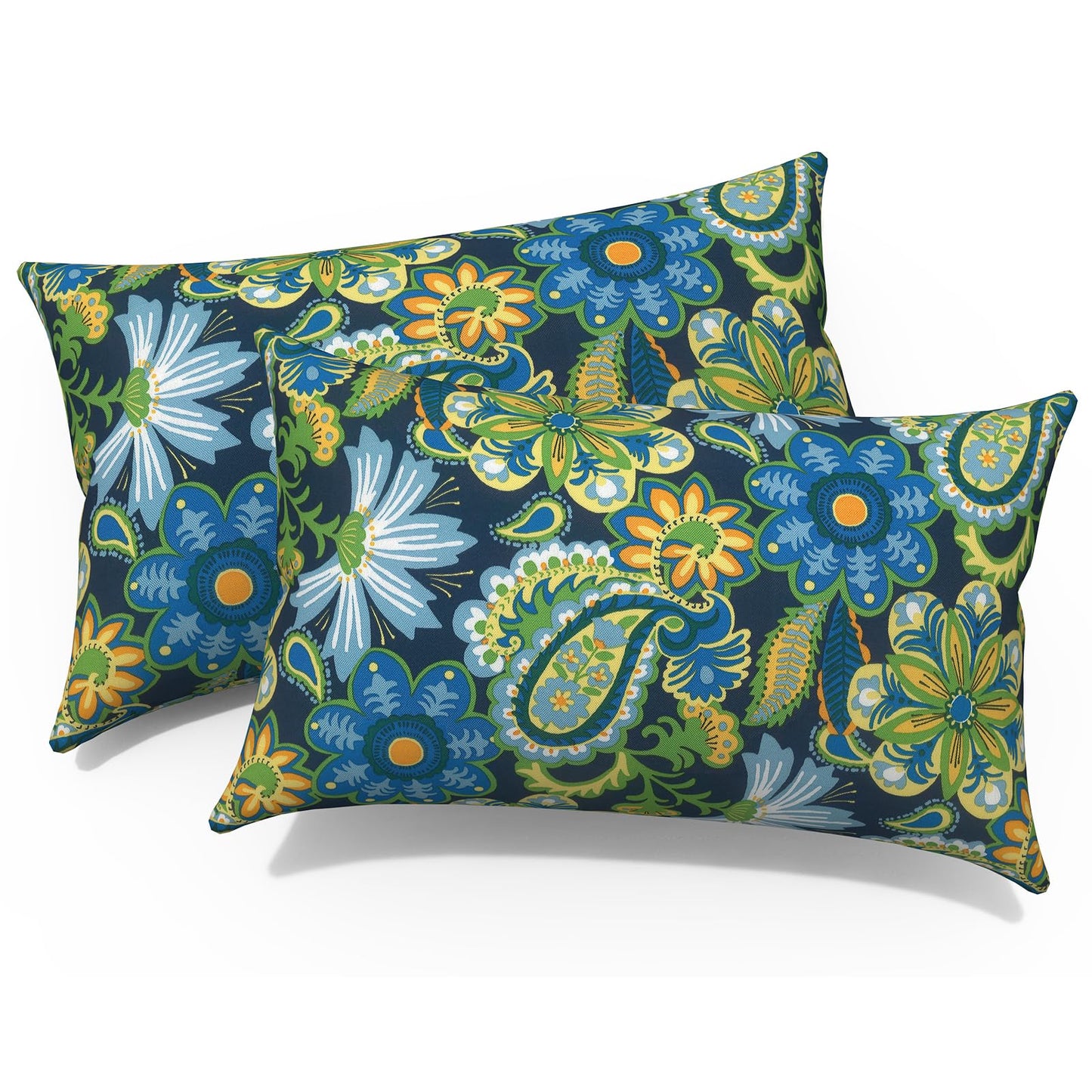 Outdoor 20x20 Inch Throw Pillows with Inners, Square Pillows Decorative Set of 2 for Home Garden Furniture, Paisley Multi