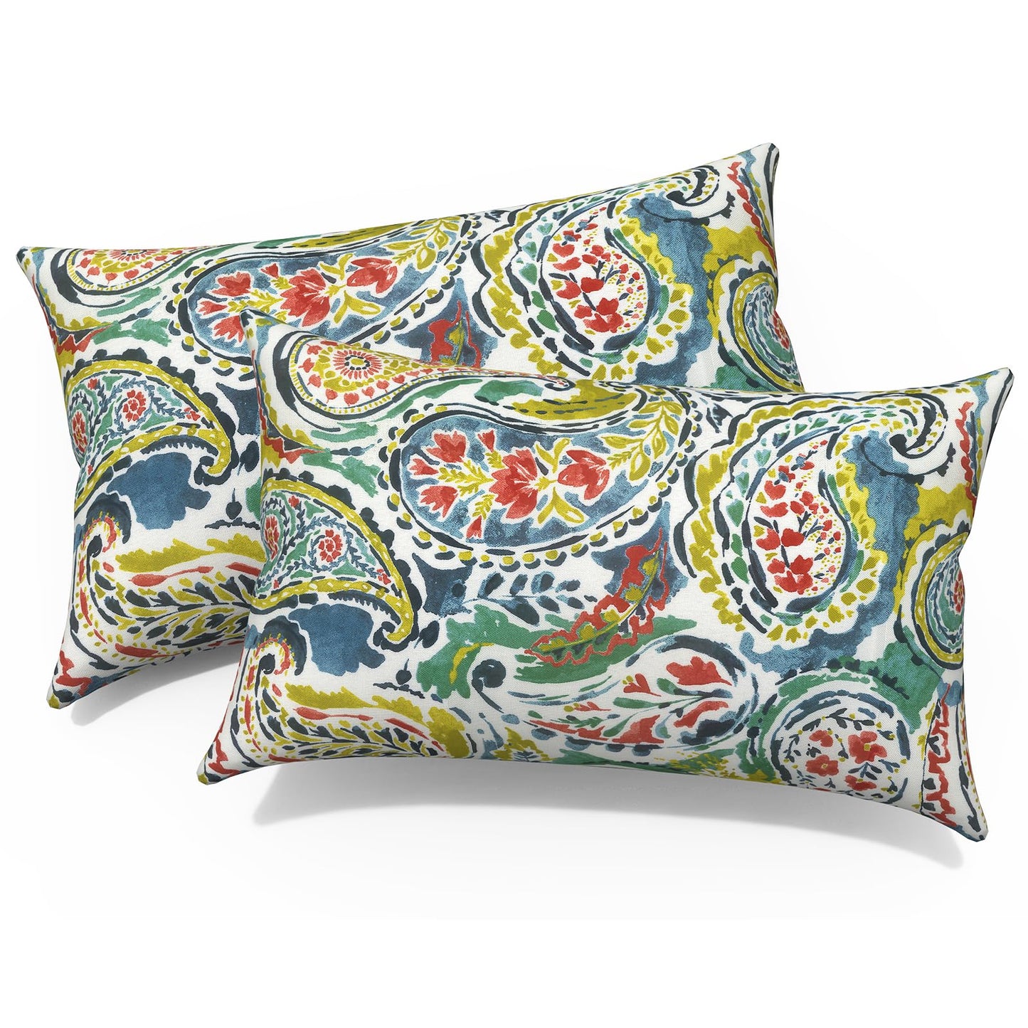 Outdoor 20x20 Inch Throw Pillows with Inners, Square Pillows Decorative Set of 2 for Home Garden Furniture, Paisley Multi