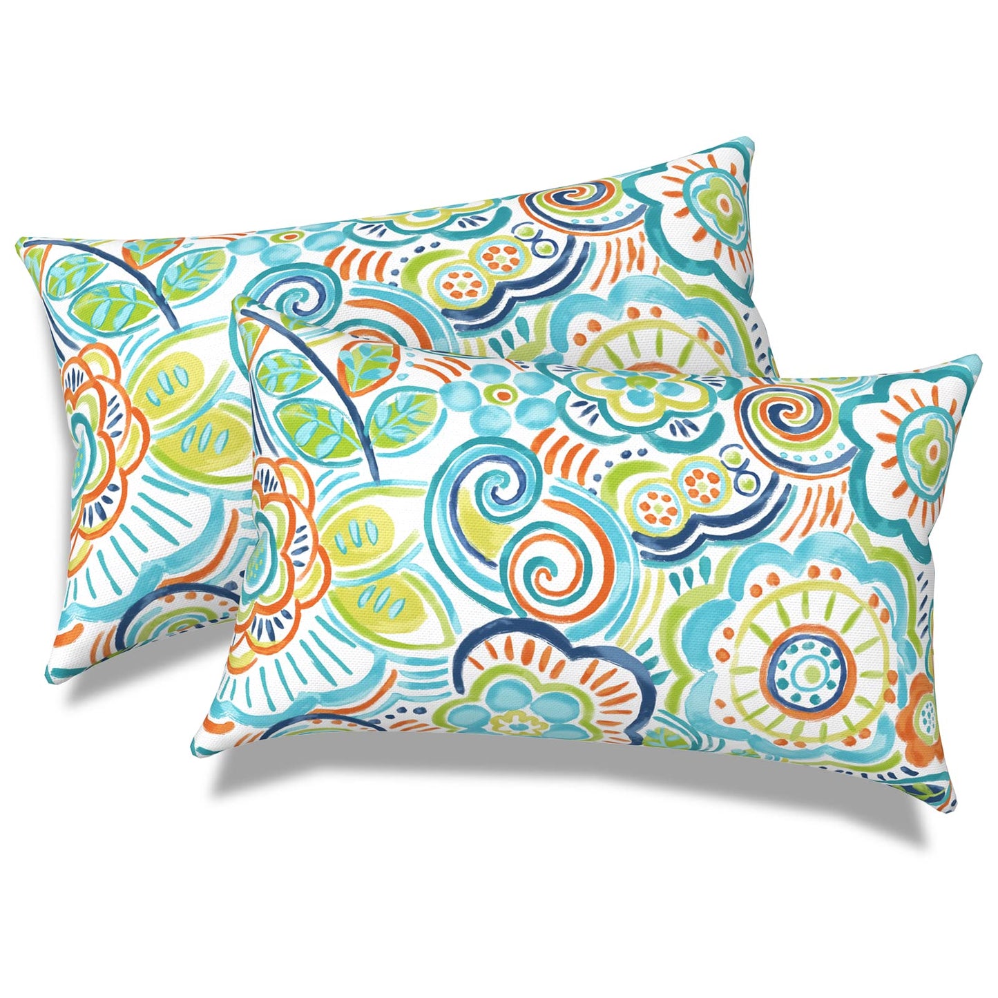 Outdoor 20x20 Inch Throw Pillows with Inners, Square Pillows Decorative Set of 2 for Home Garden Furniture, Paisley Multi