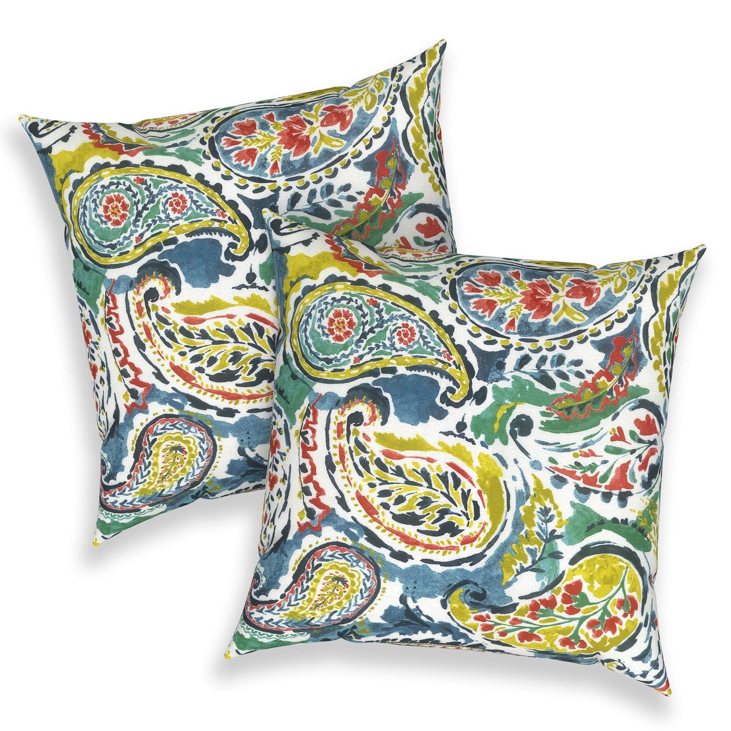 Outdoor 20x20 Inch Throw Pillows with Inners, Square Pillows Decorative Set of 2 for Home Garden Furniture, Paisley Multi