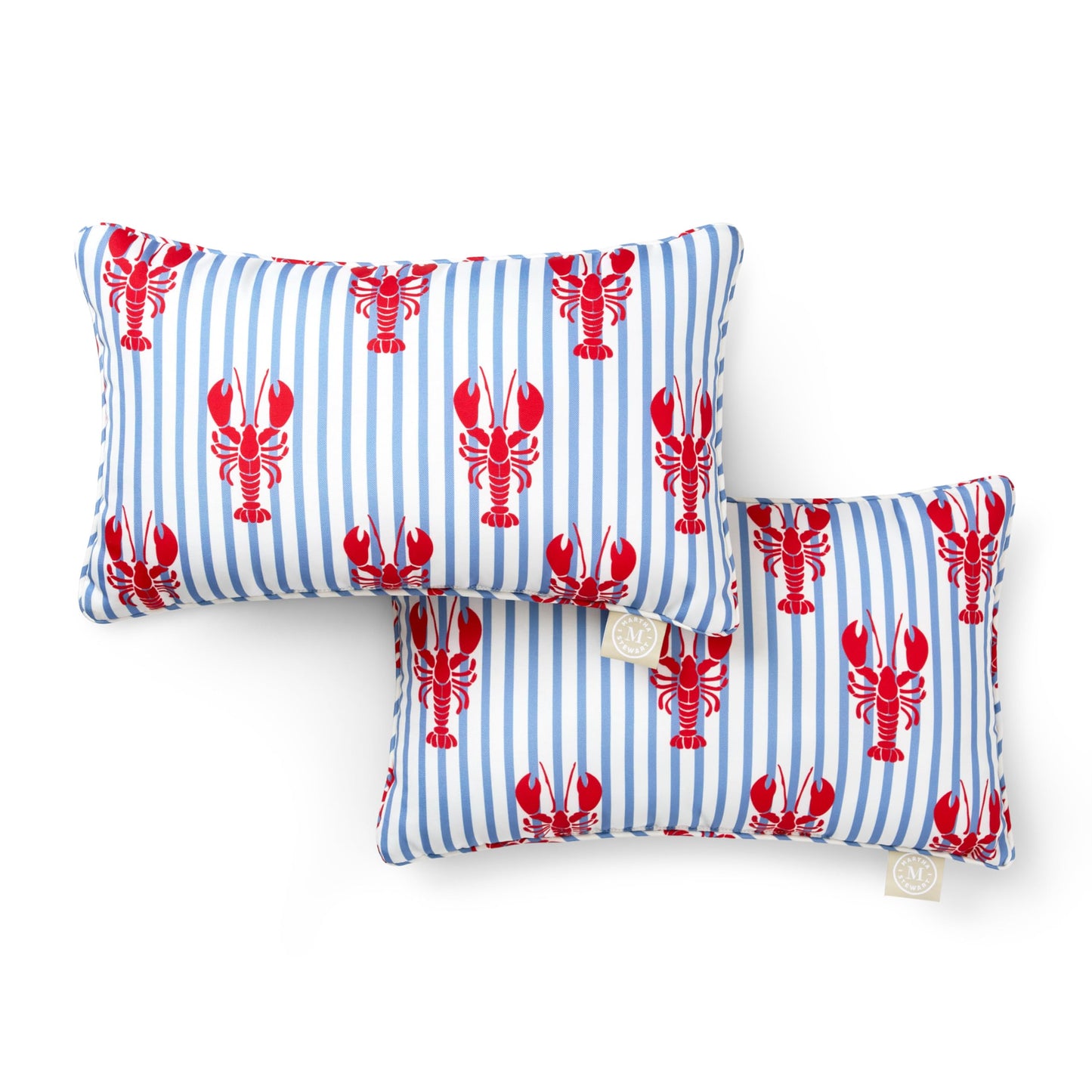 Martha Stewart Spring May Embroidered Lemon Indoor Outdoor Decorative Pillow 2-Pack Set, UV Fade Resistant, Water Repellent, Printed Stripe Design, Aqua Blue/Yellow, 18"x18"