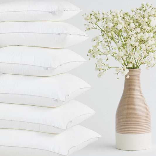 Down Alternative Decorative Pillow Insert Pack of 2