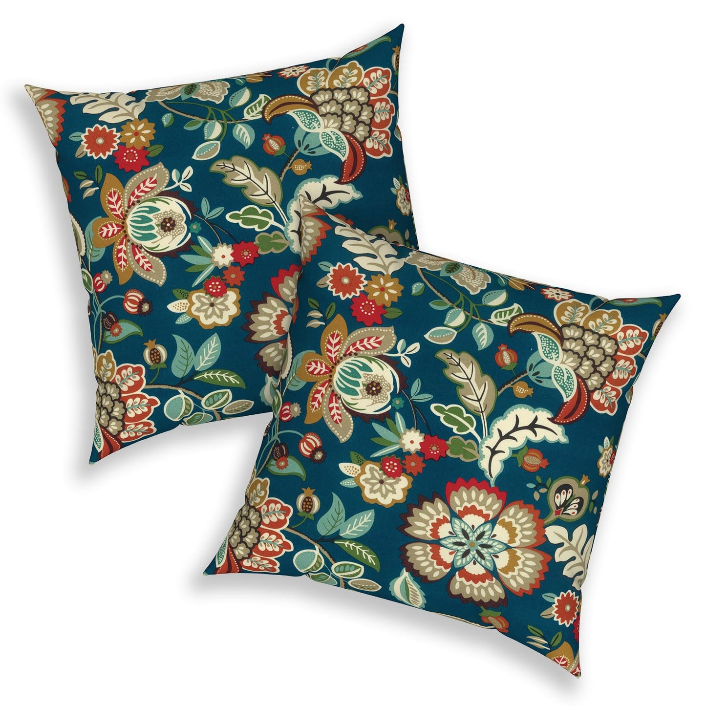 Outdoor 20x20 Inch Throw Pillows with Inners, Square Pillows Decorative Set of 2 for Home Garden Furniture, Paisley Multi