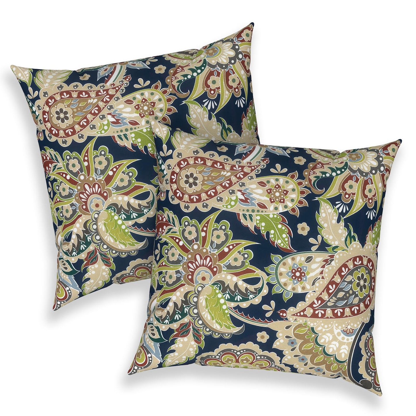 Outdoor 20x20 Inch Throw Pillows with Inners, Square Pillows Decorative Set of 2 for Home Garden Furniture, Paisley Multi