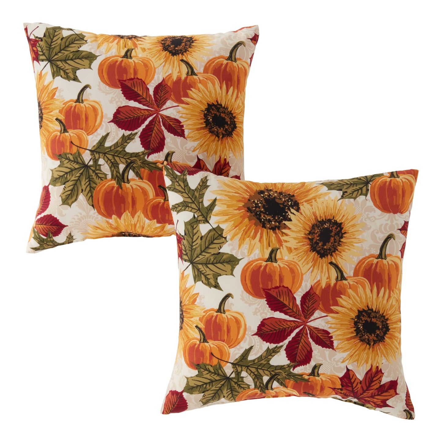 Set of 2 Outdoor Throw Pillows 17 x 17 Inch – Reversible Square Patio Accent Pillows – Weather-Resistant Polyester Fabric – Eco-Friendly Recycled Polyfiber Fill, Arctic Paisley
