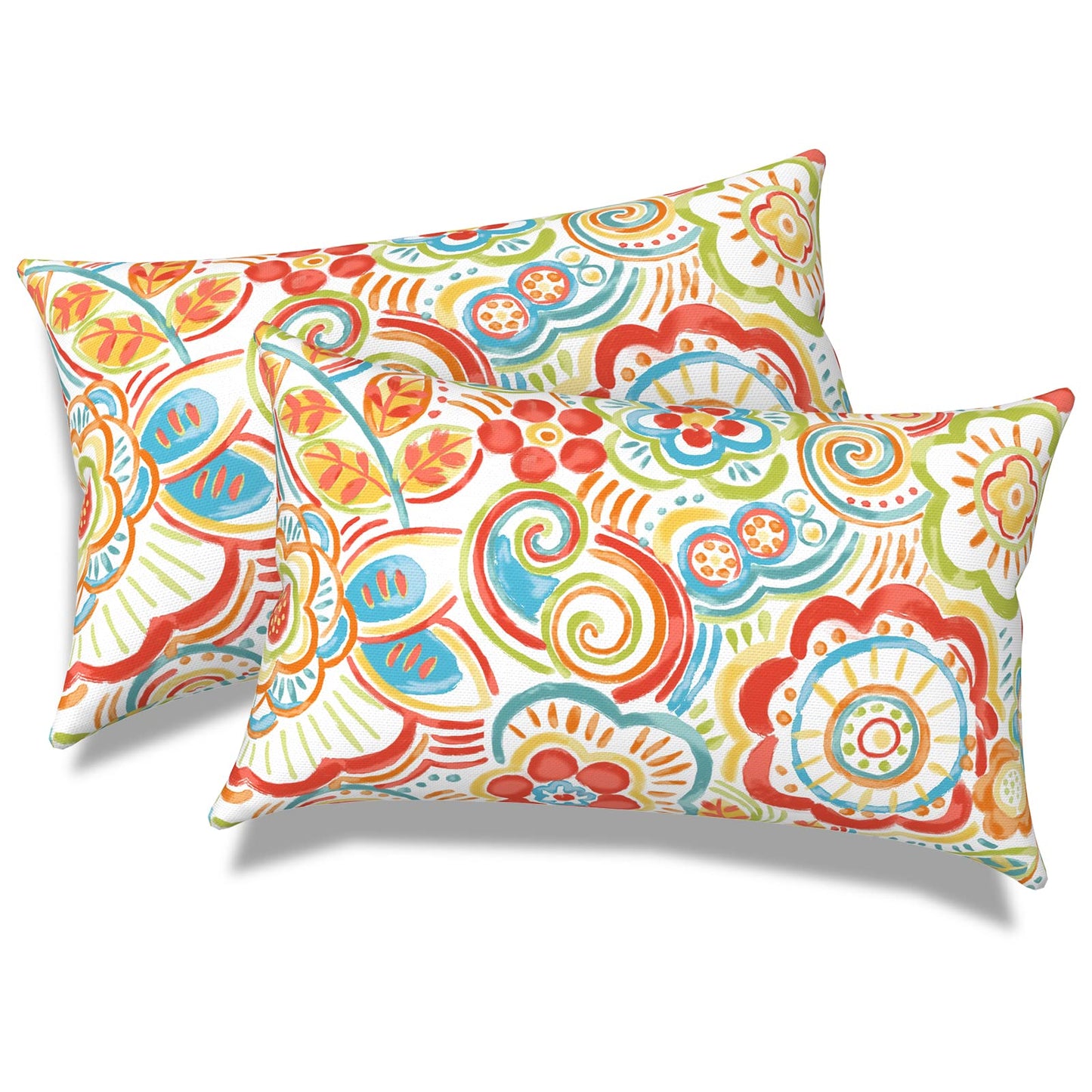 Outdoor 20x20 Inch Throw Pillows with Inners, Square Pillows Decorative Set of 2 for Home Garden Furniture, Paisley Multi