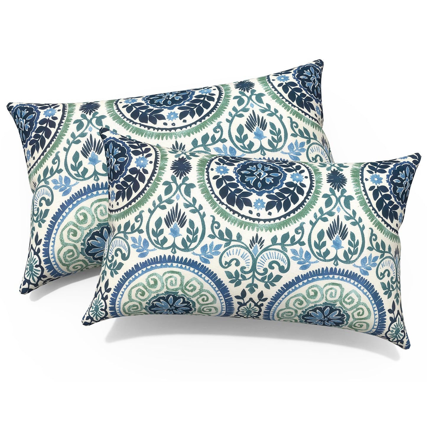 Outdoor 20x20 Inch Throw Pillows with Inners, Square Pillows Decorative Set of 2 for Home Garden Furniture, Paisley Multi