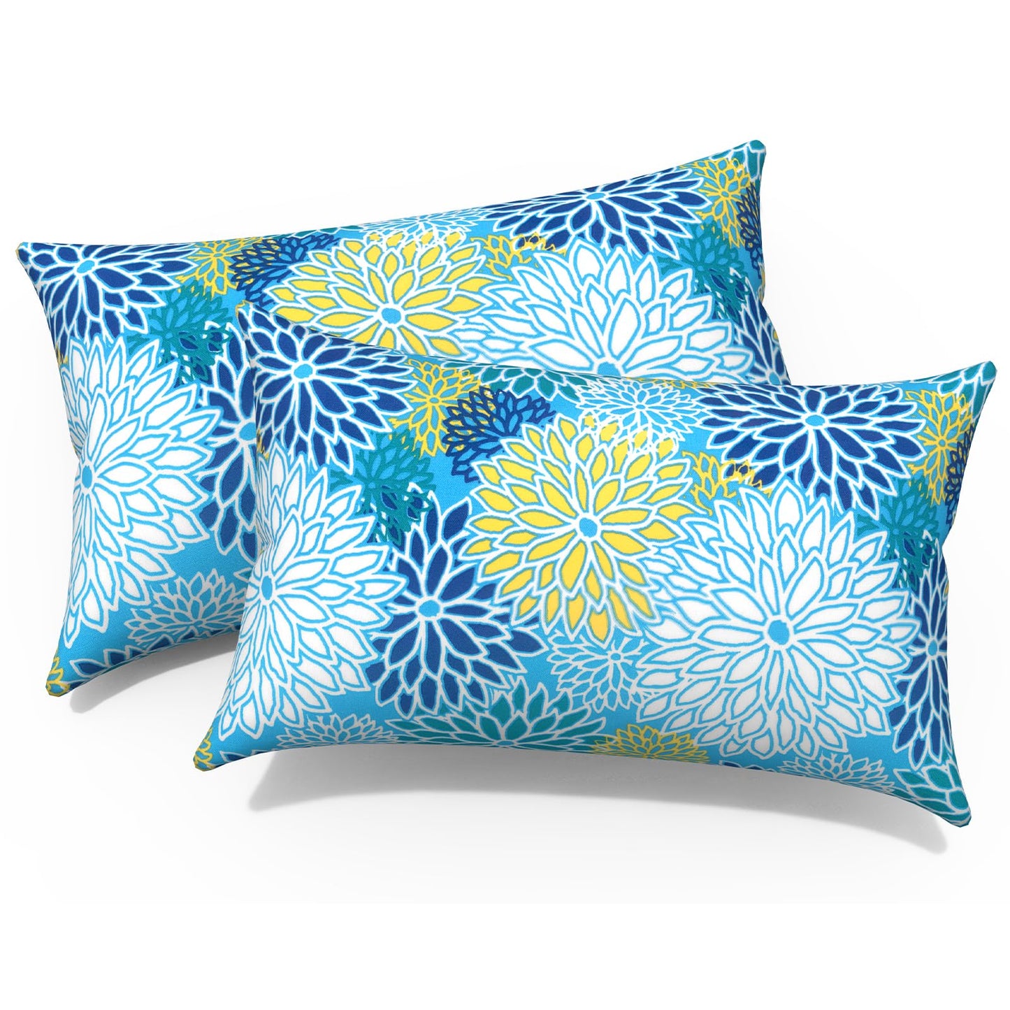 Outdoor 20x20 Inch Throw Pillows with Inners, Square Pillows Decorative Set of 2 for Home Garden Furniture, Paisley Multi