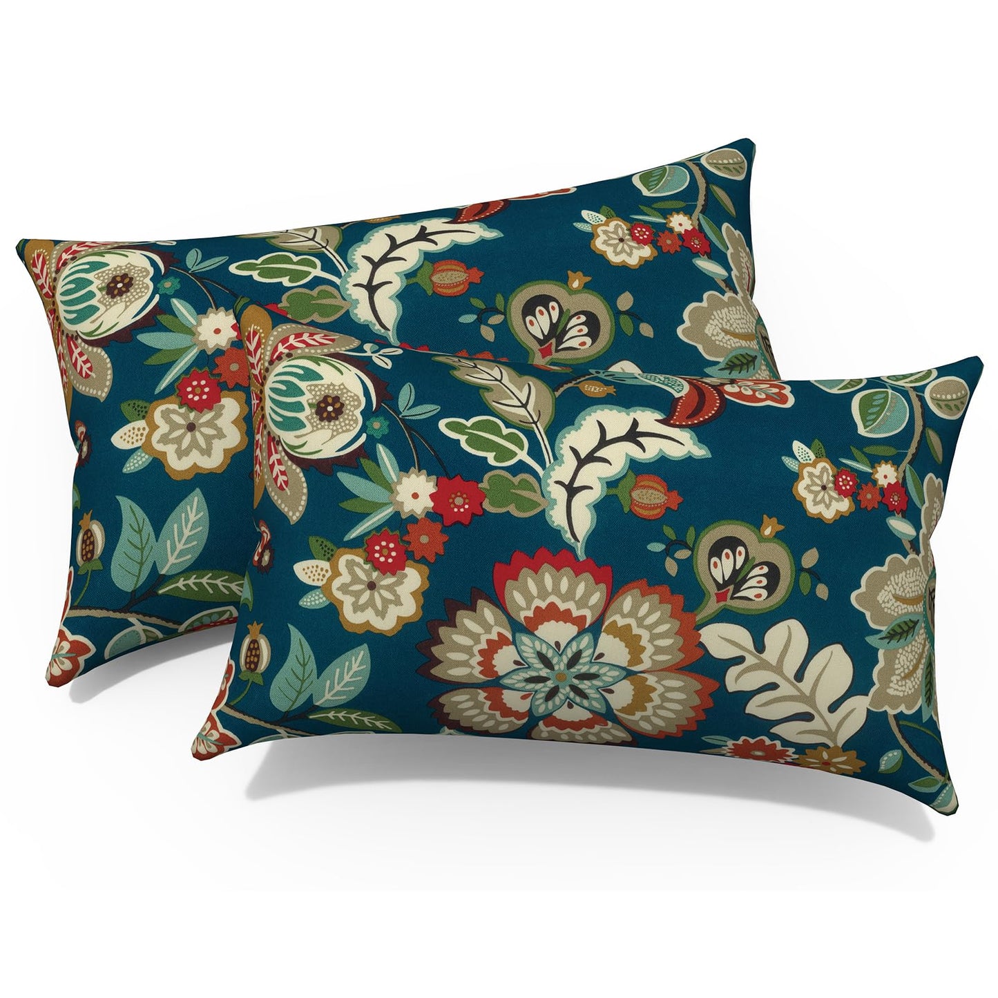 Outdoor 20x20 Inch Throw Pillows with Inners, Square Pillows Decorative Set of 2 for Home Garden Furniture, Paisley Multi