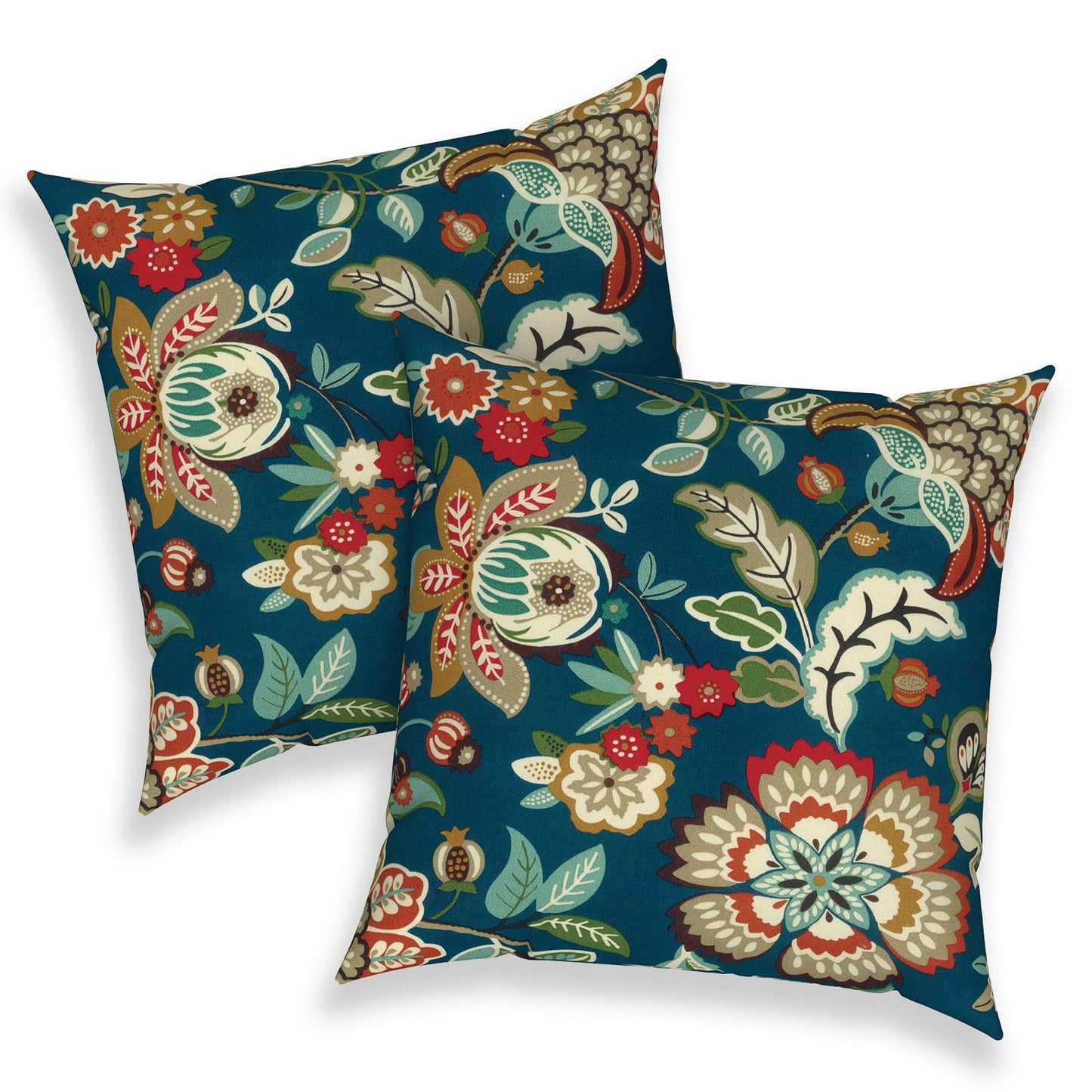 Outdoor 20x20 Inch Throw Pillows with Inners, Square Pillows Decorative Set of 2 for Home Garden Furniture, Paisley Multi