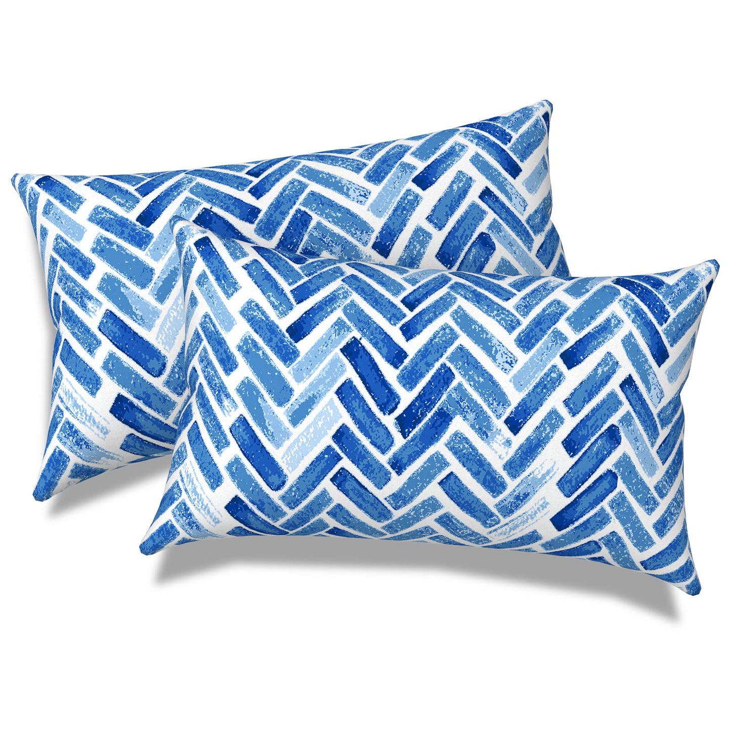 Outdoor 20x20 Inch Throw Pillows with Inners, Square Pillows Decorative Set of 2 for Home Garden Furniture, Paisley Multi