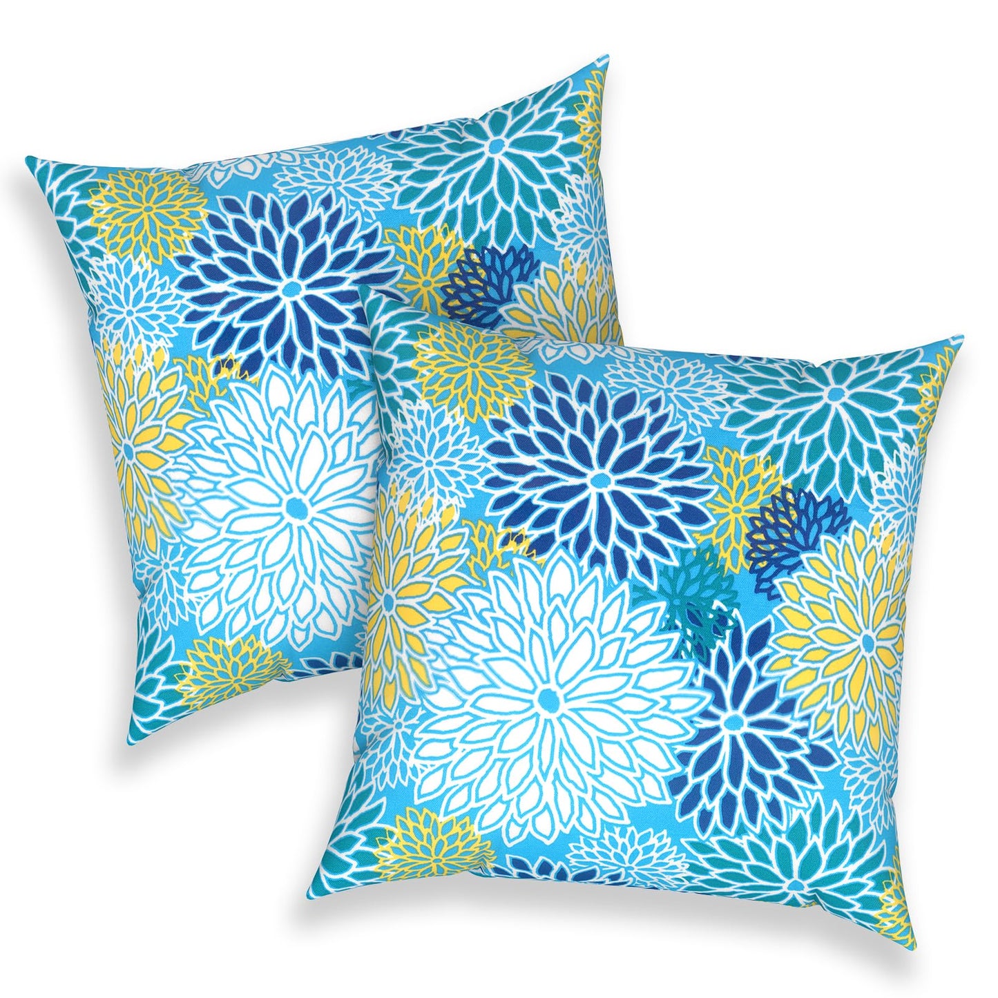 Outdoor 20x20 Inch Throw Pillows with Inners, Square Pillows Decorative Set of 2 for Home Garden Furniture, Paisley Multi