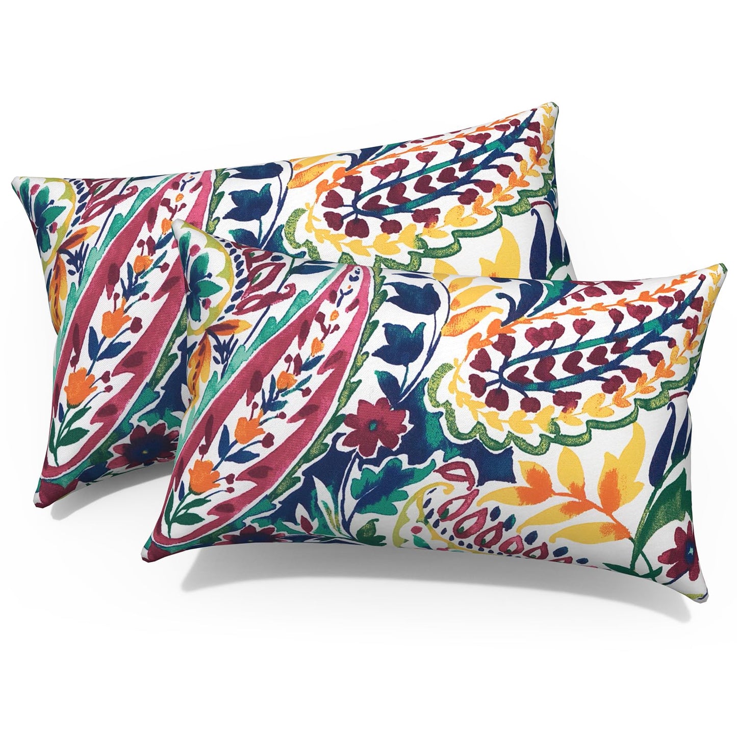 Outdoor 20x20 Inch Throw Pillows with Inners, Square Pillows Decorative Set of 2 for Home Garden Furniture, Paisley Multi