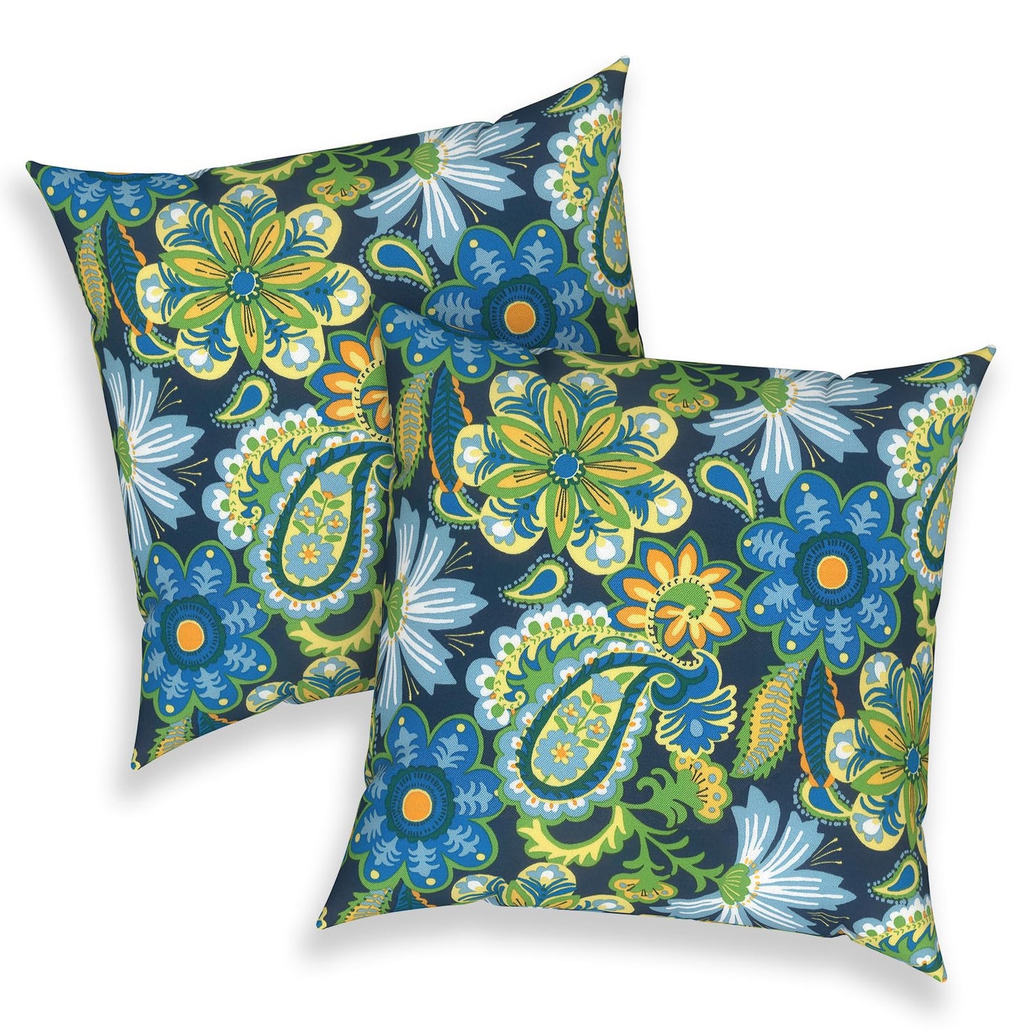 Outdoor 20x20 Inch Throw Pillows with Inners, Square Pillows Decorative Set of 2 for Home Garden Furniture, Paisley Multi