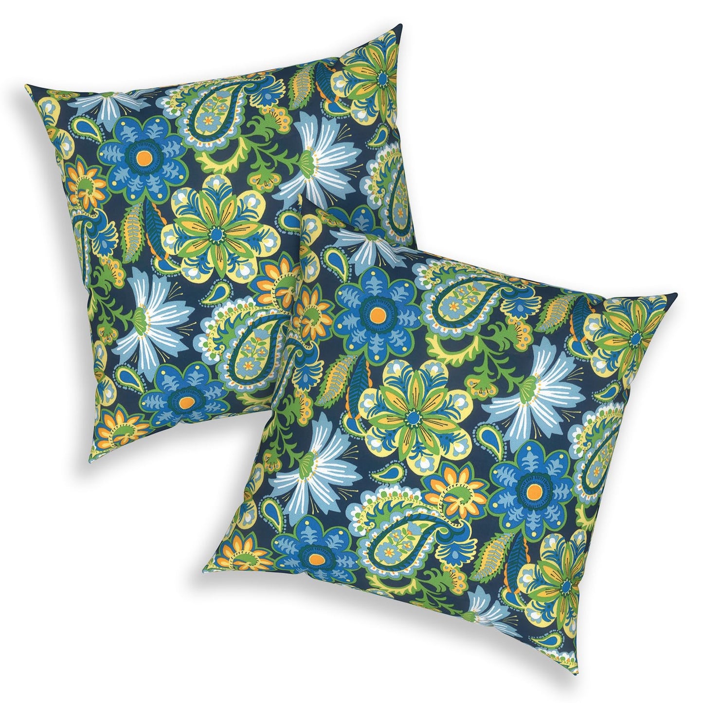 Outdoor 20x20 Inch Throw Pillows with Inners, Square Pillows Decorative Set of 2 for Home Garden Furniture, Paisley Multi